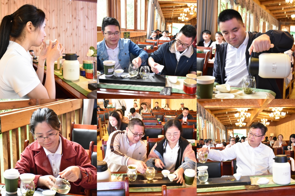 茶藝培訓配圖 茶藝培訓配圖